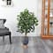 4ft. Ficus Tree in Gray Planter with Stand